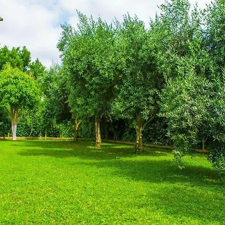 Telatiye 5* 코나키